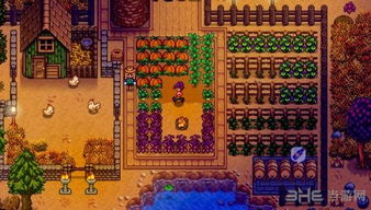 《星露谷物语》秘密纸条箭头走线怎么玩？ 2