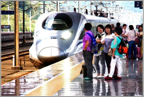 《想知道如何在《老六爱找茬》中顺利通关高铁之旅吗?速戳攻略!》 1