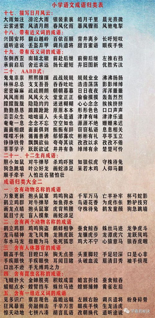 《文字玩出花》2023全关卡攻略秘籍,最新答案大汇总! 3