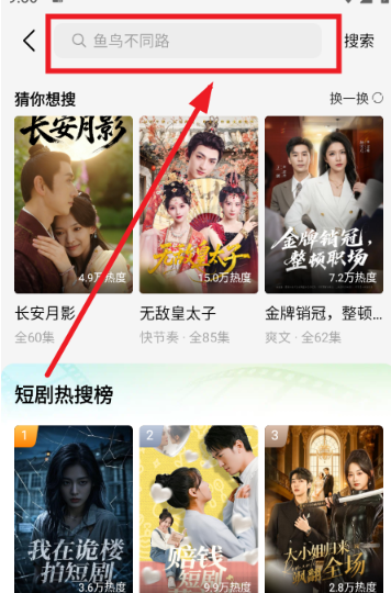 趣看鹅 截图11