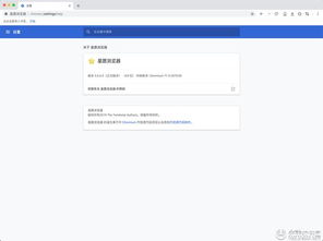 《星愿浏览器：安全浏览设置指南》 3