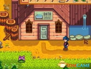 星露谷物语:冬日玩法大揭秘! 3