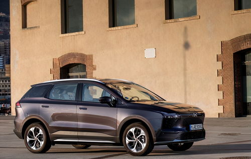 《时光大爆炸》中如何获取虎纹木? 2