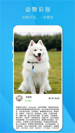 拍照识万物 1