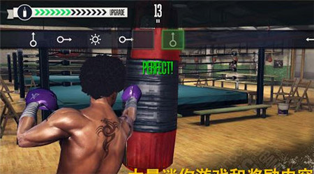 Punch Boxing Legends League 截图3