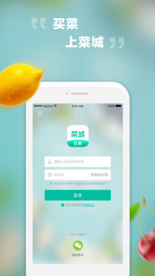 菜城生鲜 1