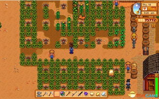 《星露谷物语》中海莉红心事件应该如何选择？ 3