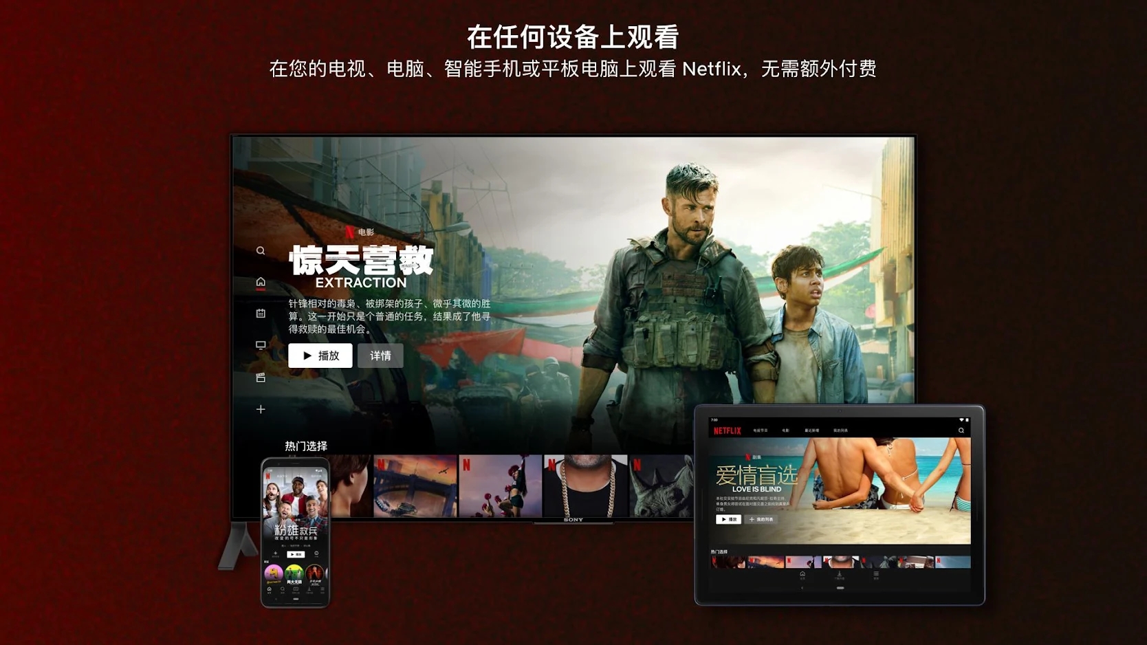 网飞Netflix电视版 截图4