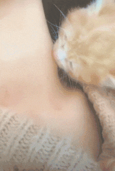 揭秘《星球重启》:如何轻松获取珍稀白色四叶草 2