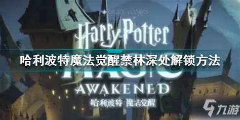 探索《哈利波特》：揭秘禁林进入次数的巧妙方法 3