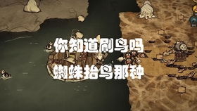 饥荒新手夏日生存指南 2