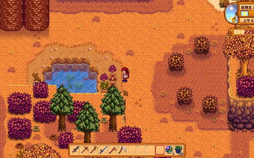 星露谷物语:解锁沙漠节全攻略,玩转沙海盛宴! 1