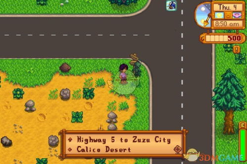 星露谷物语:解锁沙漠节全攻略,玩转沙海盛宴! 3