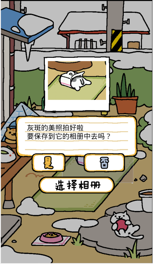 猫咪后院汉化版 截图3