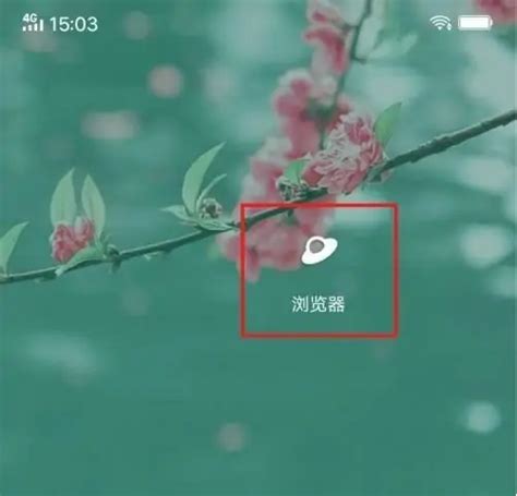 《一键重置,轻松恢复《乐感浏览器》默认设置指南》 2