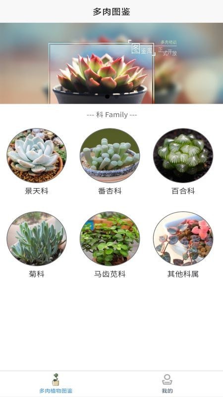 嘟嘟多肉植物鑒 截圖2