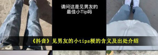 抖音見男友的tips是什么梗_抖音見男友的tips詳情介紹 1