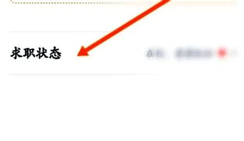 如何轻松设置《猎聘》求职状态，提升求职效率 2