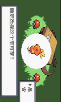 口袋妖怪绿宝石随机版 1