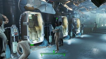 揭秘:如何高效寻找辐射避难所中的神秘陌生人 2