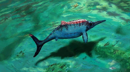 哪种龟类主要栖息于海洋环境? 4