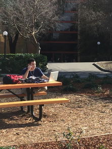 《《无限暖暖》里沙沙作响的长椅隐藏着什么诡秘奇闻?全面攻略揭秘!》 1