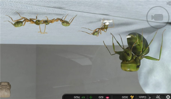 蚂蚁模拟大亨最新版游戏 1