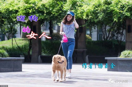 《超级对决比拼》大学生遛狗通关有什么攻略？ 2