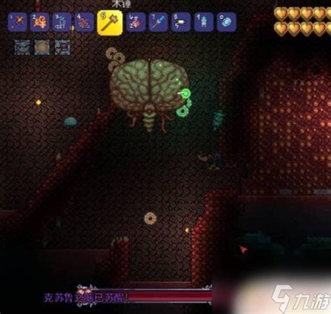 泰拉瑞亚中猩红史莱姆的生成条件 4