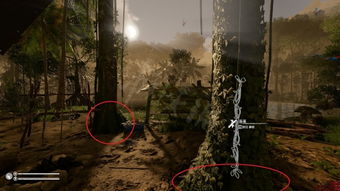 《如何在《晚安森林》中轻松获取鱼竿?》 4