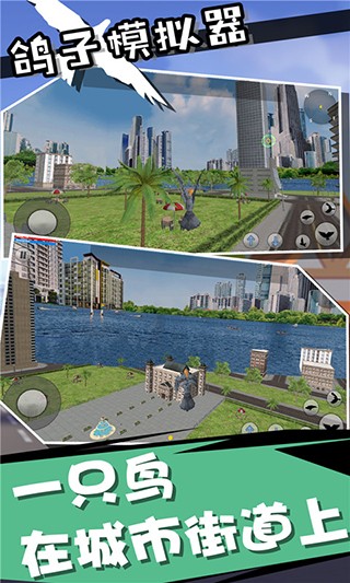 鸽子模拟器免费版 截图2