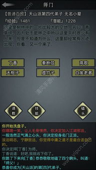 天山绝学加点秘籍:放置江湖中的顶尖攻略 4