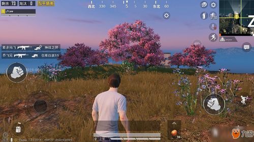 七夕特辑:如何在和平精英中找到并获取浪漫的七夕捧花? 4