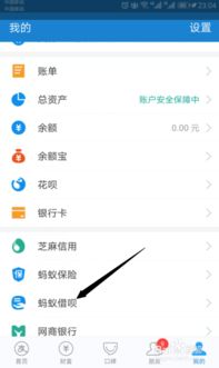 如何在支付宝中查找借呗功能 1