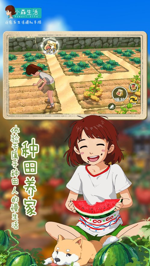 小森生活中文版 截图4