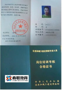 如何通过《豫事办》查询安全员证书 1