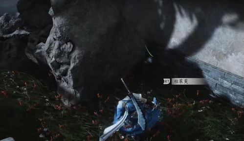 《燕云十六声》:揭秘一药千金任务的高效通关秘籍 1