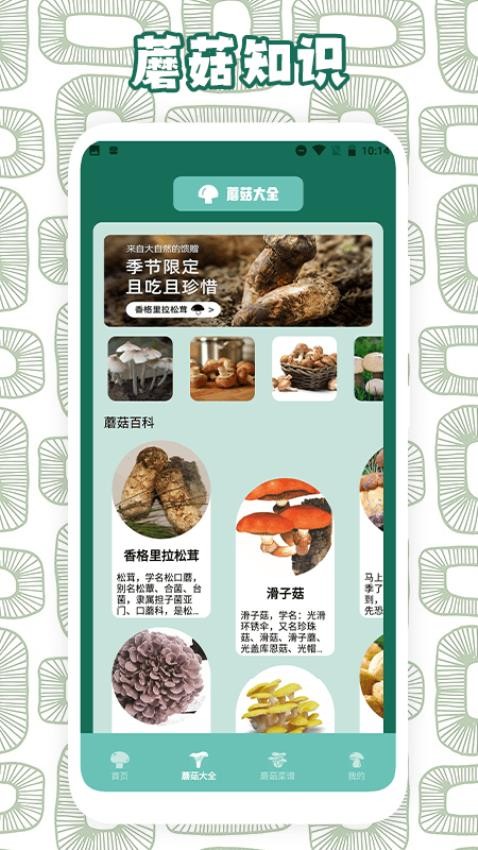 蘑菇識別助手app 截圖3