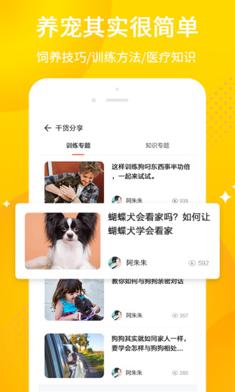 犬易app 截图2