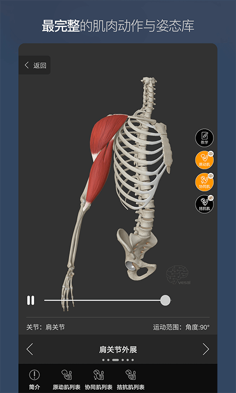 维萨里3D解剖 截图2