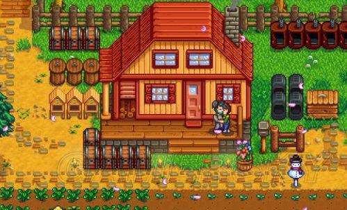 星露谷物语:全面攻略,教你如何与心仪NPC步入婚姻殿堂! 2