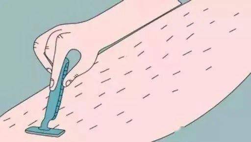 《山海记》中不可错过的顶级兽灵词条精选 1