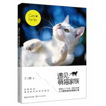 《遇见你的猫》:解锁高效提升亲密度秘籍! 2