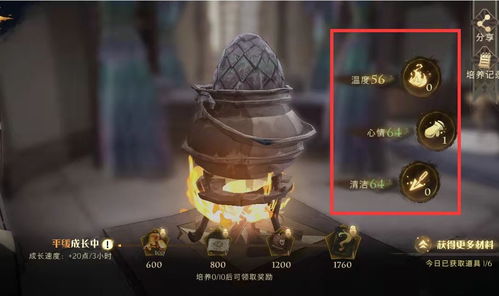 《哈利波特:魔法觉醒》揭秘!轻松孵化龙蛋全攻略 2