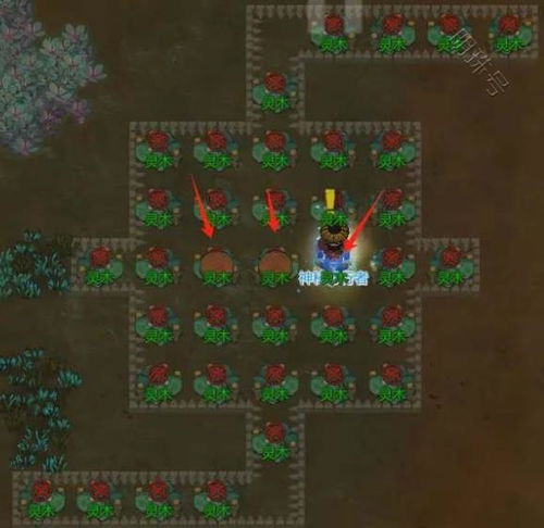 《优化指南:如何高效布置《了不起的修仙模拟器》中的聚灵阵》 2