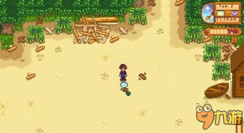 星露谷物语：超实用快速赚钱秘籍大公开！ 2