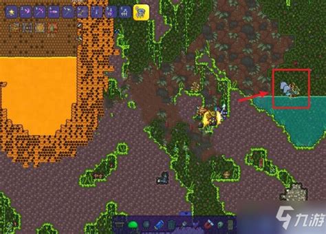 泰拉瑞亚:蜂刺获取攻略及其实用价值详解 2