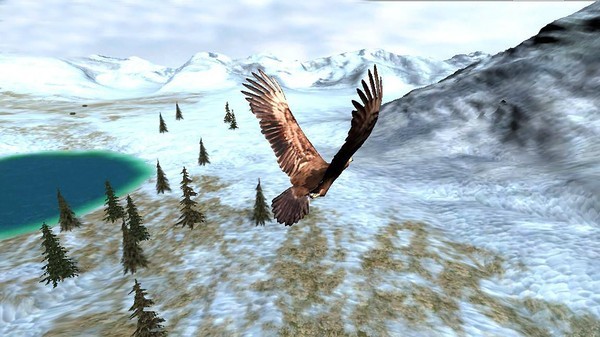 猎鹰之旅模拟器 截图2