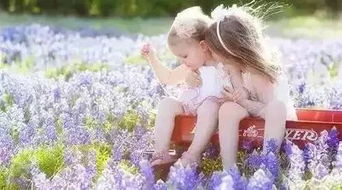 《无限暖暖》花海美照速成秘籍！ 2