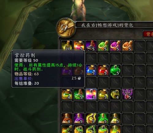 《铸仙之境》火系高手必备:站位精髓与操作秘籍大揭秘 4